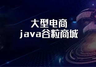 大型电商--java谷粒商城--猫藏资料库