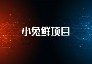 前端 小兔鲜项目-猫藏资料库