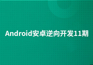 Android安卓逆向开发11期（47.5G）【47.10GB】-猫藏资料库