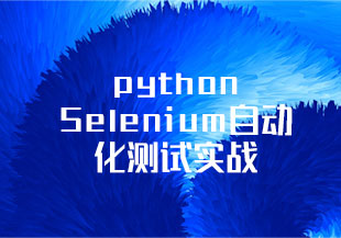 python Selenium自动化测试实战【完结】-猫藏资料库