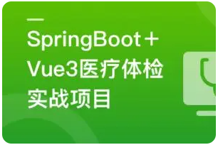 SpringBoot+Vue3+MySQL集群 开发健康体检双系统(更新6章)-猫藏资料库
