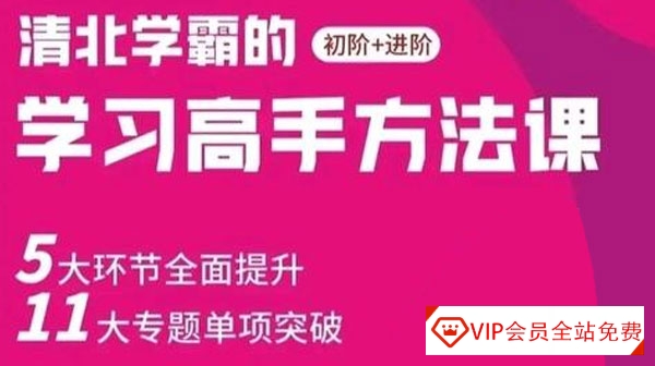 北大花花-学习高手方法课（初阶+进阶）139节课-IT技术资源教程免费分享平台