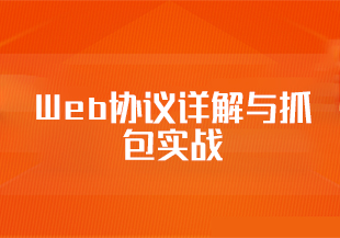 Web协议详解与抓包实战测试【10.48GB】