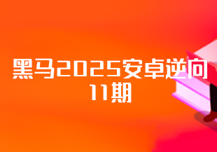 黑马2025安卓逆向测试11期
