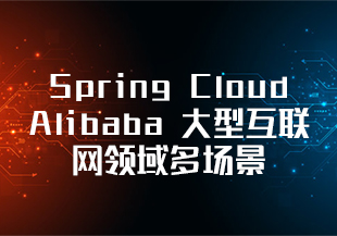 Spring Cloud Alibaba 大型互联网领域多场景最佳实践​-IT技术资源教程免费分享平台