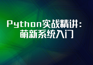 Python实战精讲：萌新系统入门-IT技术资源教程免费分享平台