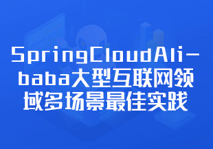 SpringCloudAlibaba大型互联网领域多场景最佳实践（完结）-IT技术资源教程免费分享平台