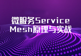 微服务Service Mesh原理与实战-IT技术资源教程免费分享平台