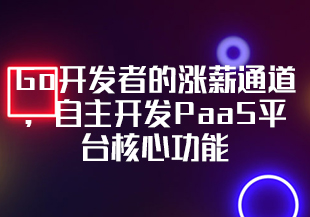 Go开发者的涨薪通道，自主开发PaaS平台核心功能【更新中第九章】-IT技术资源教程免费分享平台