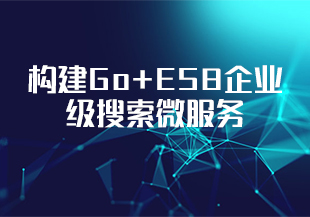 海量数据高并发场景，构建Go+ES8企业级搜索微服务【完结】-IT技术资源教程免费分享平台