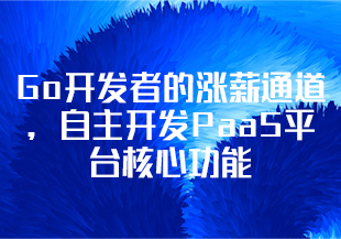 Go开发者的涨薪通道，自主开发PaaS平台核心功能-IT技术资源教程免费分享平台