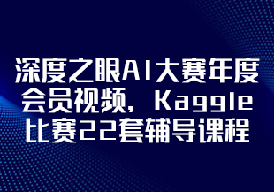 深度之眼AI大赛年度会员视频，Kaggle比赛22套辅导课程 价值1998元-IT技术资源教程免费分享平台