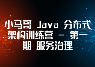 小马哥 Java 分布式架构训练营 - 第一期 服务治理-IT技术资源教程免费分享平台