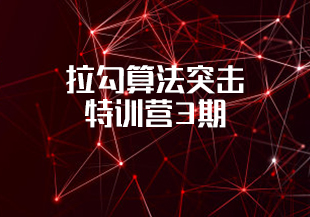 拉勾算法突击特训营3期-IT技术资源教程免费分享平台