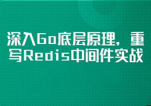 【慕课】深入Go底层原理，重写Redis中间件实战【更新至13章】-IT技术资源教程免费分享平台