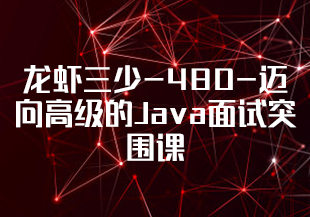 【慕课】龙虾三少-480-迈向高级的Java面试突围课-288元-299元-IT技术资源教程免费分享平台