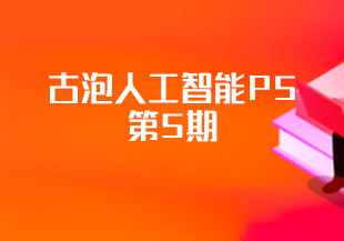 古泡ai人工智能P5第5期-IT技术资源教程免费分享平台