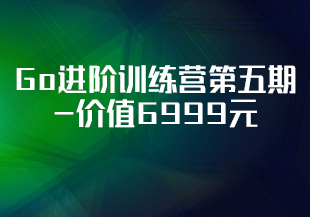 极客大学-Go进阶训练营第五期-价值6999元-对标字节2-2-完结无秘-IT技术资源教程免费分享平台
