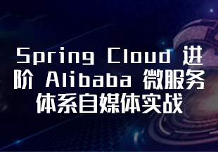 升级-Spring Cloud 进阶 Alibaba 微服务体系自媒体实战26章完结无秘-IT技术资源教程免费分享平台