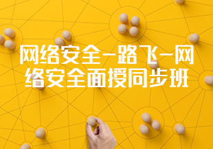 网络安全-路飞-网络安全面授同步班-IT技术资源教程免费分享平台