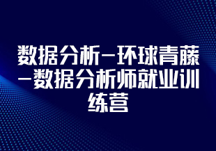 数据分析-环球青藤-数据分析师就业训练营[完结]-IT技术资源教程免费分享平台