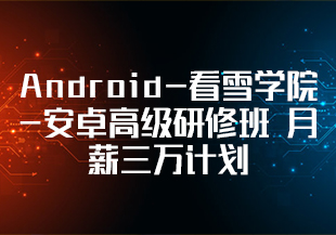 Android-看雪学院-安卓高级研修班 月薪三万计划-IT技术资源教程免费分享平台