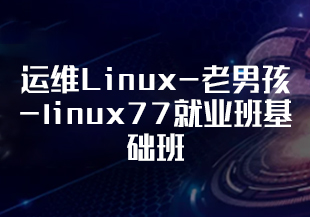 运维Linux-老男孩-linux77就业班基础班[完结]-IT技术资源教程免费分享平台
