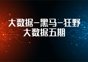大数据-黑马-狂野大数据五期-IT技术资源教程免费分享平台