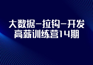 大数据-拉钩-开发高薪训练营14期-IT技术资源教程免费分享平台