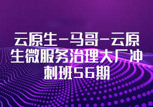 云原生-马哥-云原生微服务治理大厂冲刺班56期 [完结]-IT技术资源教程免费分享平台