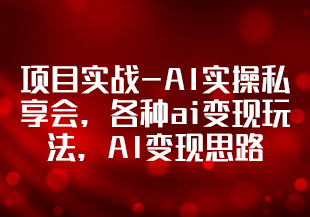 项目实战-AI实操私享会，各种ai变现玩法，AI变现思路（67节课）-IT技术资源教程免费分享平台