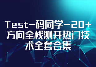 Test-码同学-20+方向全栈测开热门技术全套合集-IT技术资源教程免费分享平台