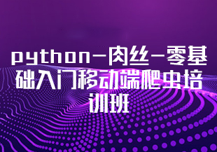 python-肉丝-零基础入门移动端爬虫培训班-IT技术资源教程免费分享平台
