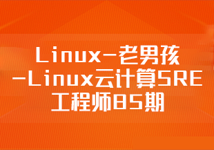 Linux-老男孩-Linux云计算SRE工程师85期[完结]-IT技术资源教程免费分享平台