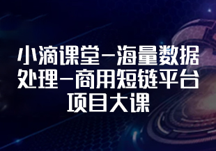 小滴课堂-海量数据处理-商用短链平台项目大课-IT技术资源教程免费分享平台