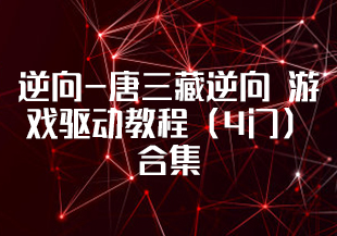 逆向-唐三藏逆向 游戏驱动教程(4门)合集