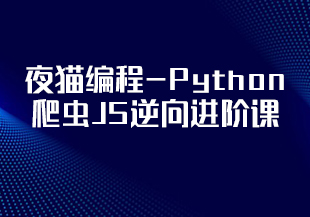 夜猫编程-Python爬虫JS逆向进阶课(录播课＋答疑)从零基础到高薪就业编程课-IT技术资源教程免费分享平台