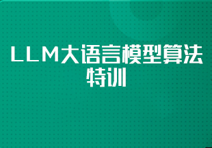 LLM大语言模型算法特训 带你转型AI大语言模型算法工程师（完结）-IT技术资源教程免费分享平台