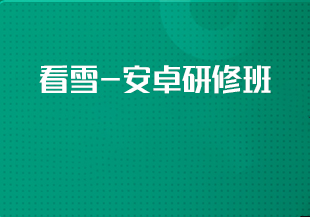 看雪-安卓研修班-IT技术资源教程免费分享平台