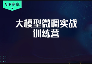 大模型微调实战训练营-IT技术资源教程免费分享平台